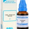 Sbl Carica Papaya Q Mother Tincture 30ml