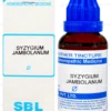 Sbl Abroma Augusta Q Mother Tincture 30ml