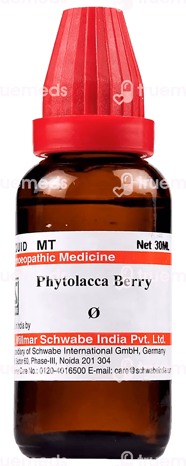 Sbl Fucus Vesiculosus Q Mother Tincture 30ml