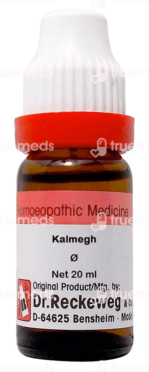 Dr Reckeweg Aesculus Hip Q Mother Tincture 20ml