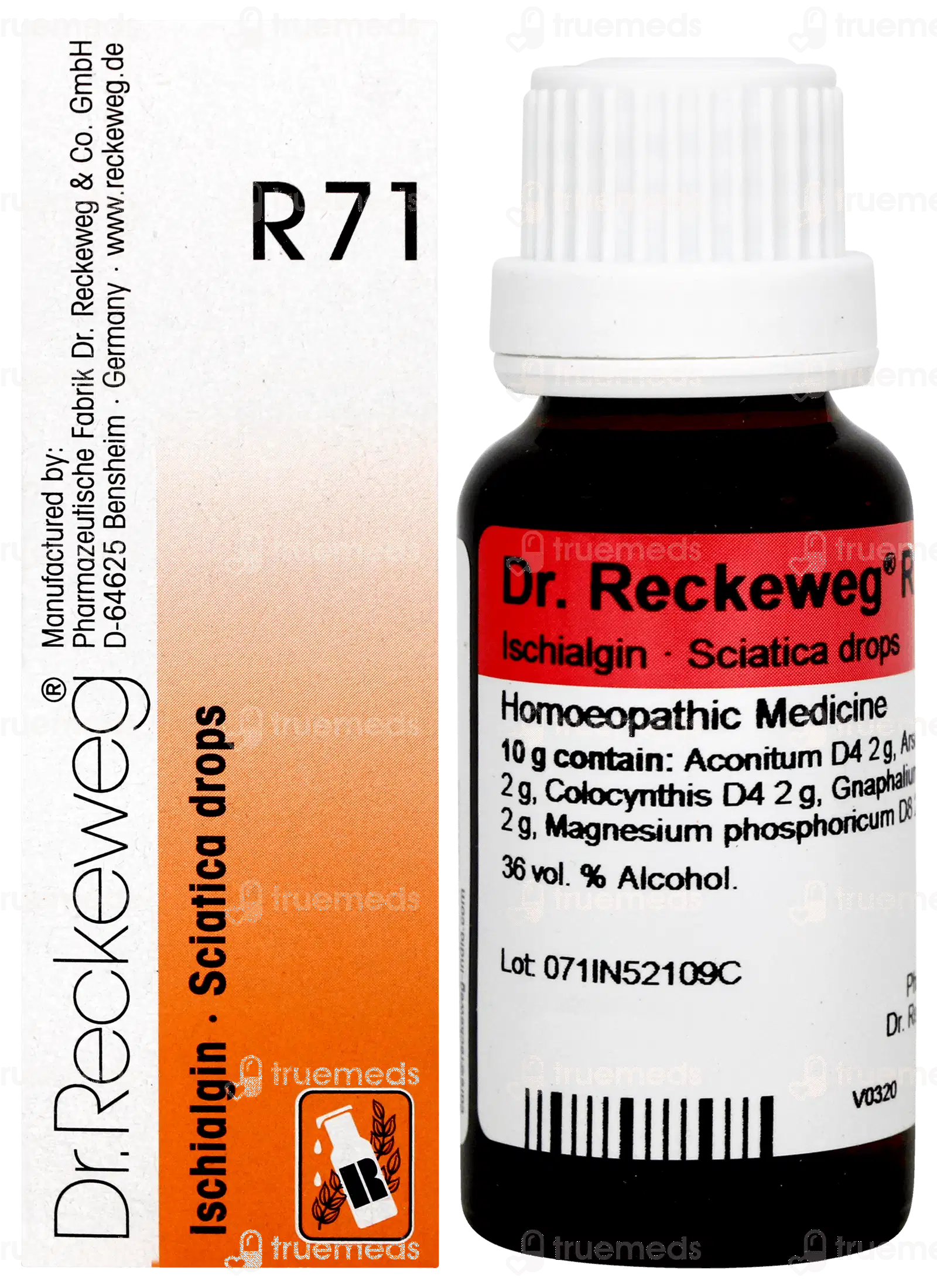 Dr Reckeweg Syzygium Jamb Q Mother Tincture 100ml 1 Dr Reckeweg Syzygium Jamb Q Mother Tincture 100ml